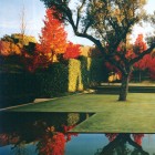 fernando caruncho - an autumn garden with brillant maple leaf color behind the hedges - house & garden via atticmag